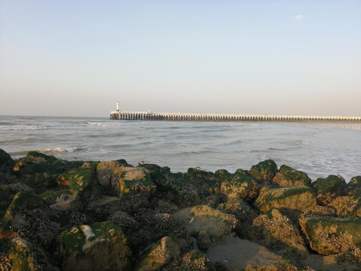 شقة Marjolaine Zeezicht - Nieuwpoort-Bad Met Gratis Garagebox المظهر الخارجي الصورة